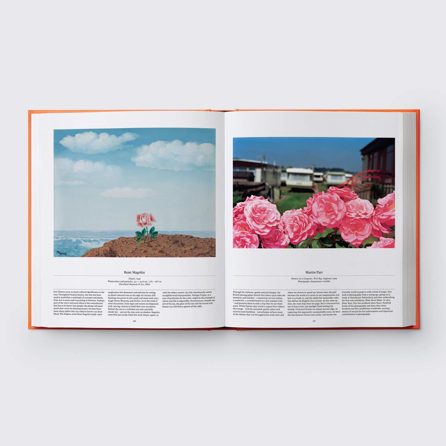Beispielinhalt (Bild) Flower: Exploring the World in Bloom