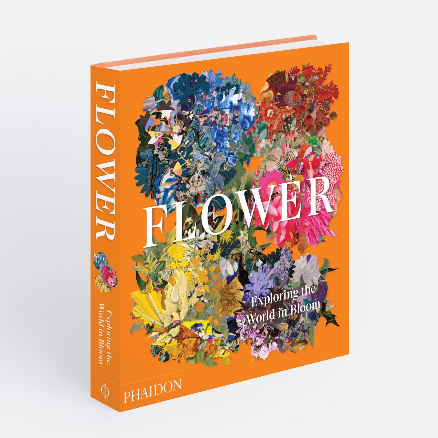 Beispielinhalt (Bild) Flower: Exploring the World in Bloom