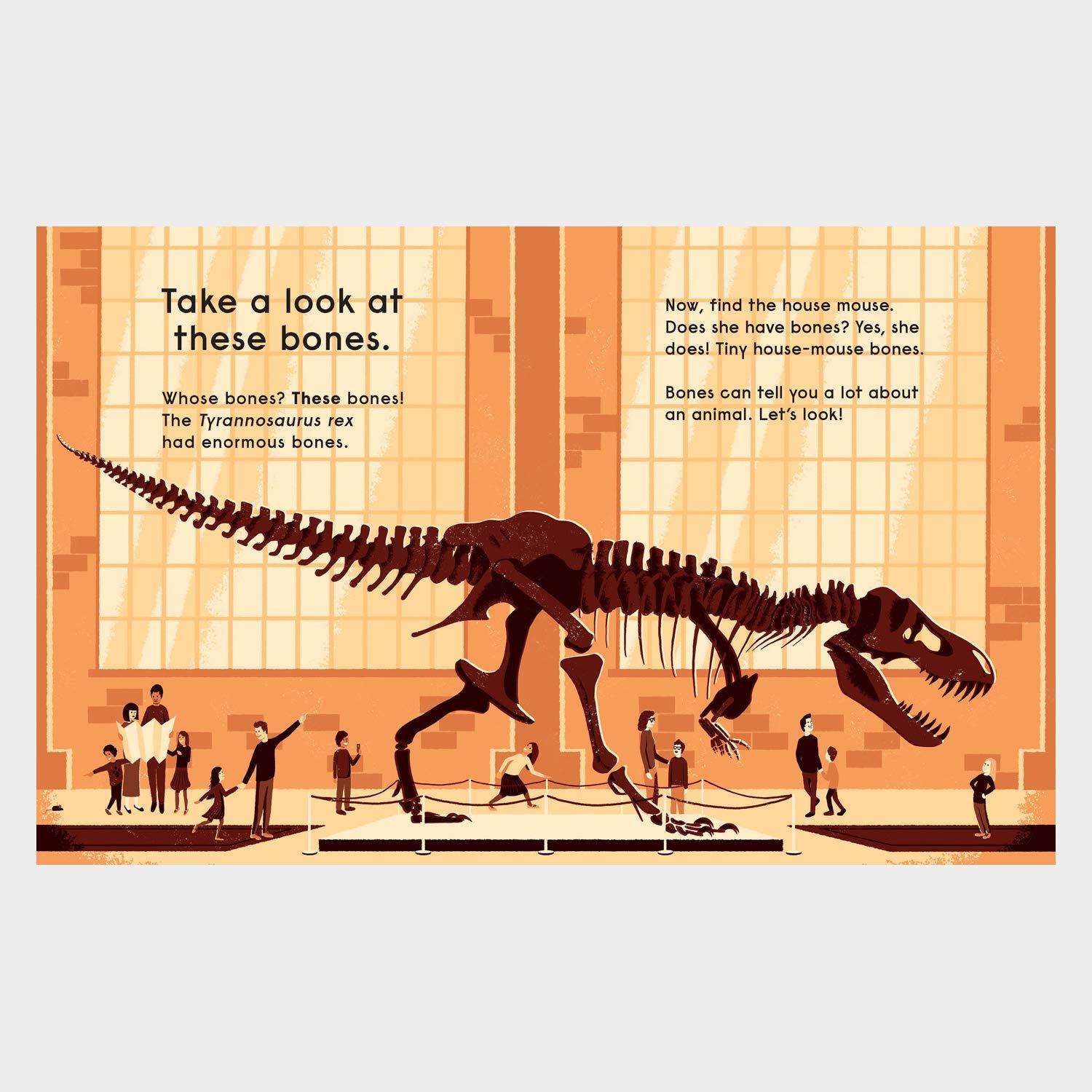 Beispielinhalt (Bild) Whose Bones?