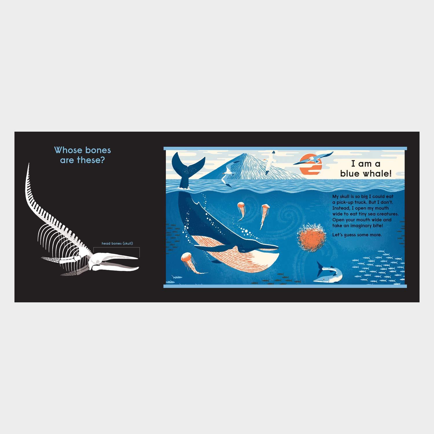 Beispielinhalt (Bild) Whose Bones?