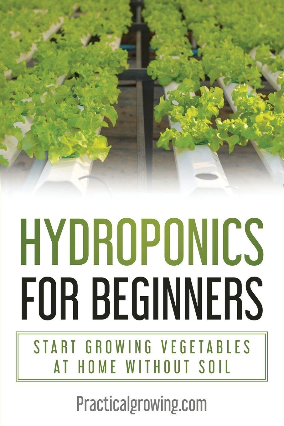 Vorderes Coverbild Hydroponics for Beginners