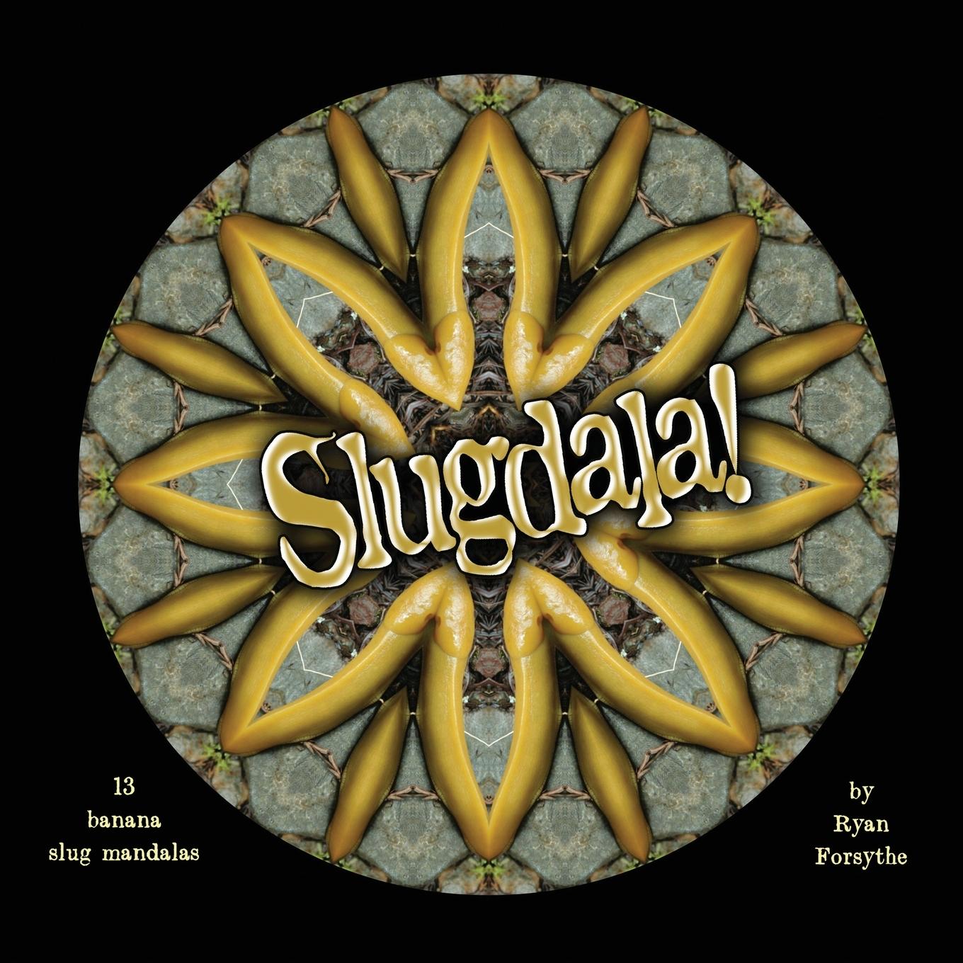 Vorderes Coverbild Slugdala!