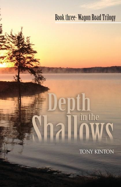 Vorderes Coverbild Depth in the Shallows