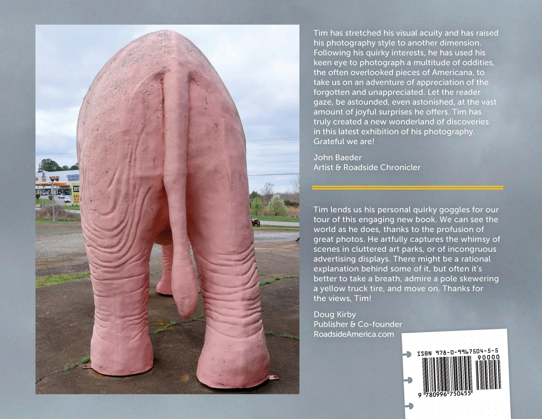 Rückseitencover Tim O'Brien's Roadside Pics & Picks