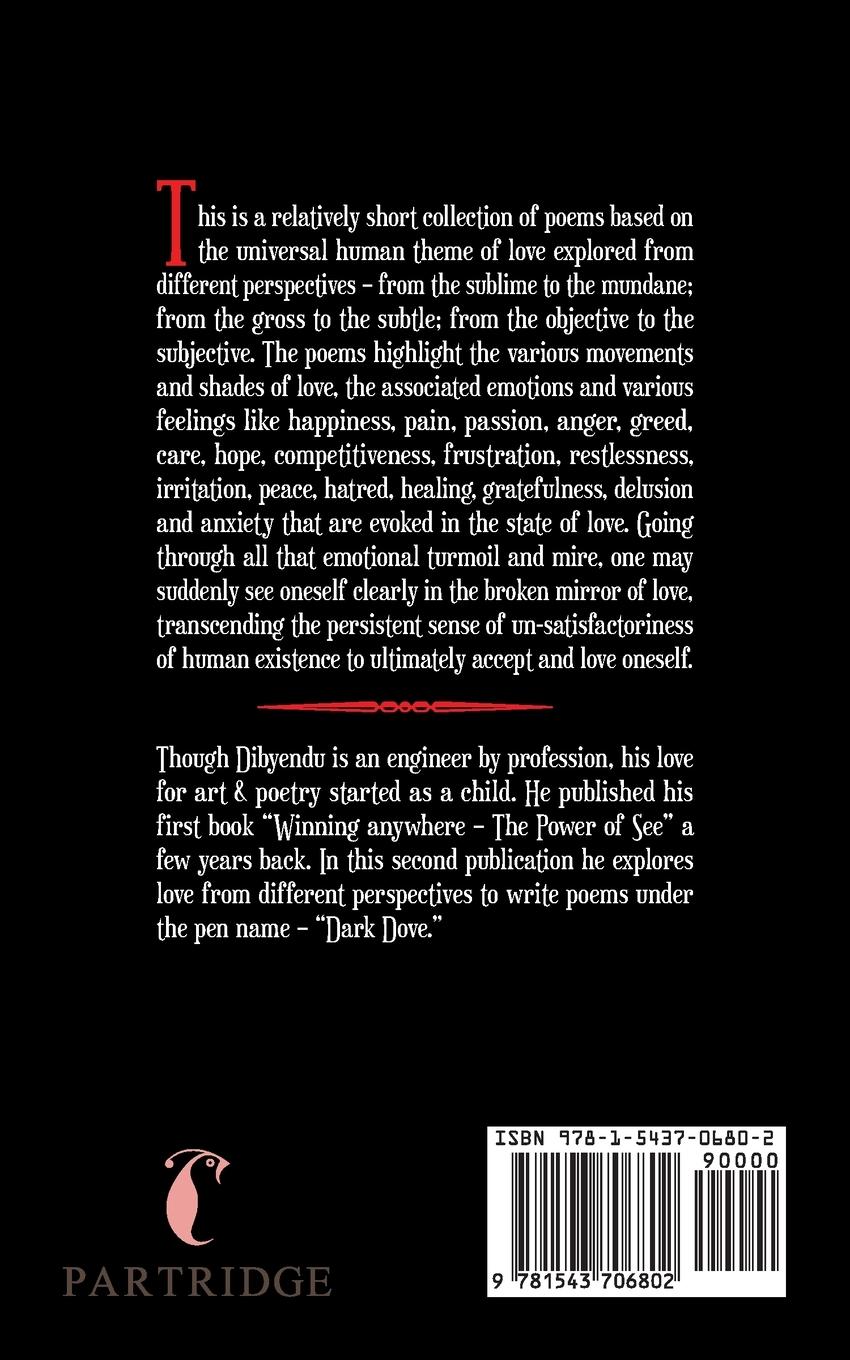 Rückseitencover Love Through a Broken Mirror