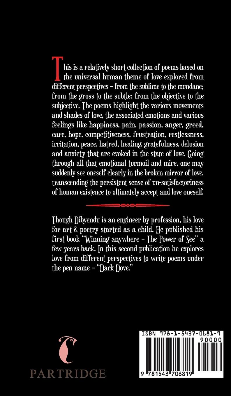 Rückseitencover Love Through a Broken Mirror