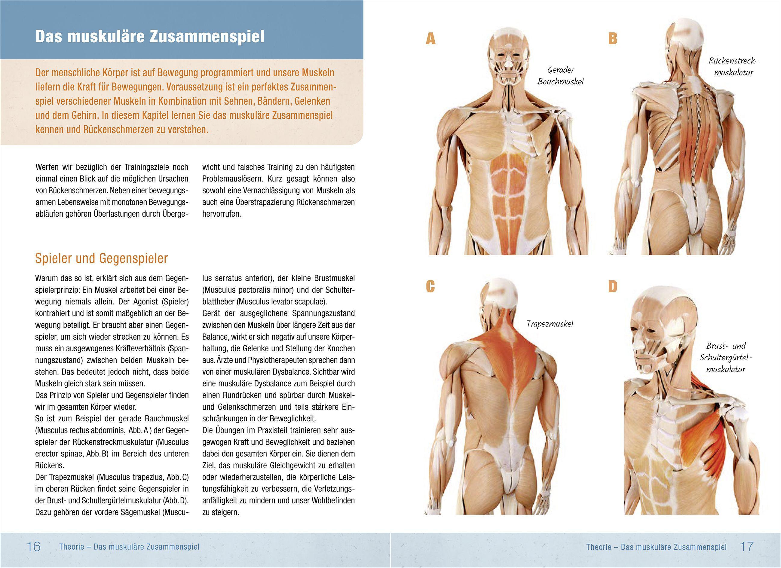 Beispielinhalt (Bild) Rückentraining