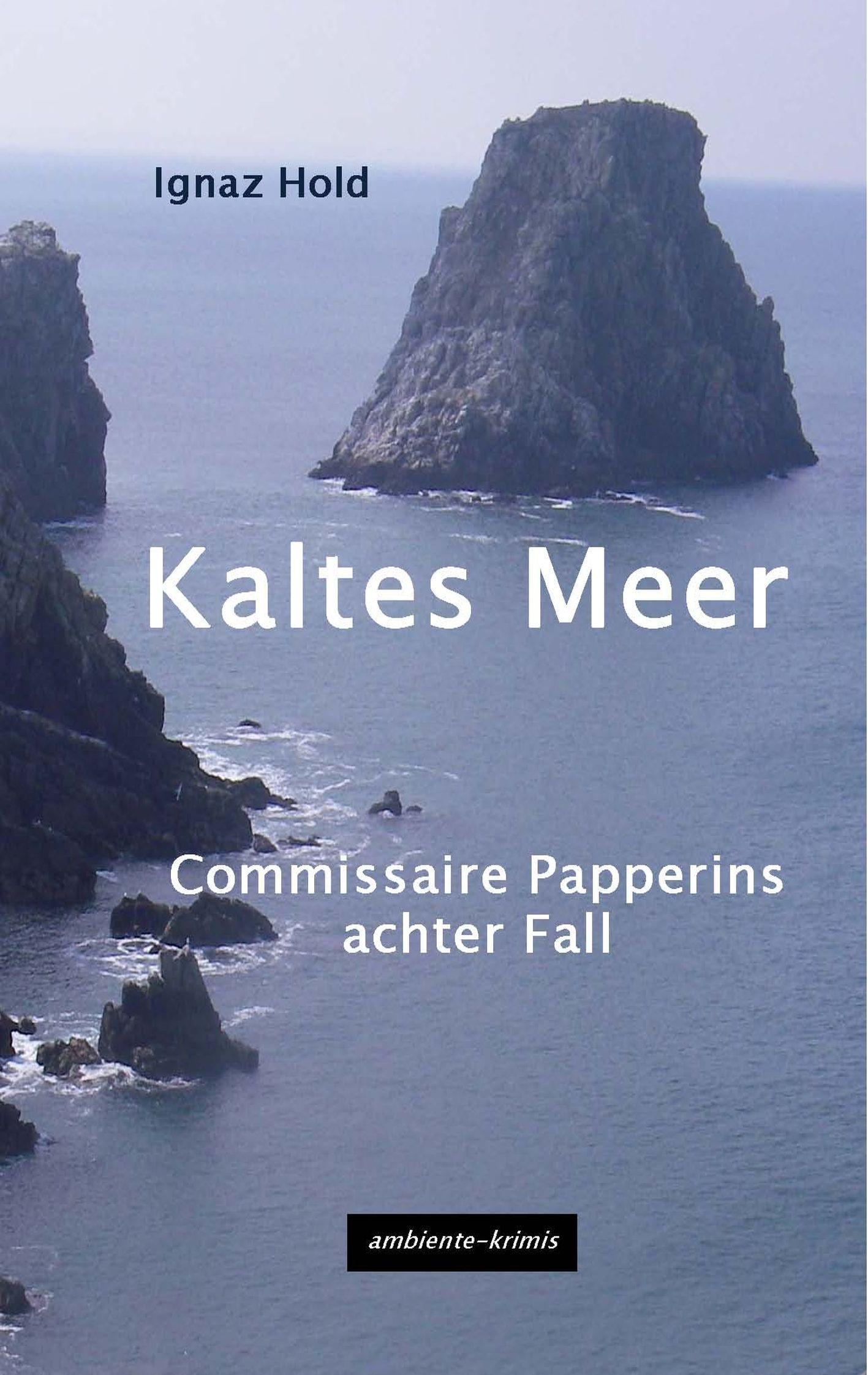 Vorderes Coverbild Kaltes Meer