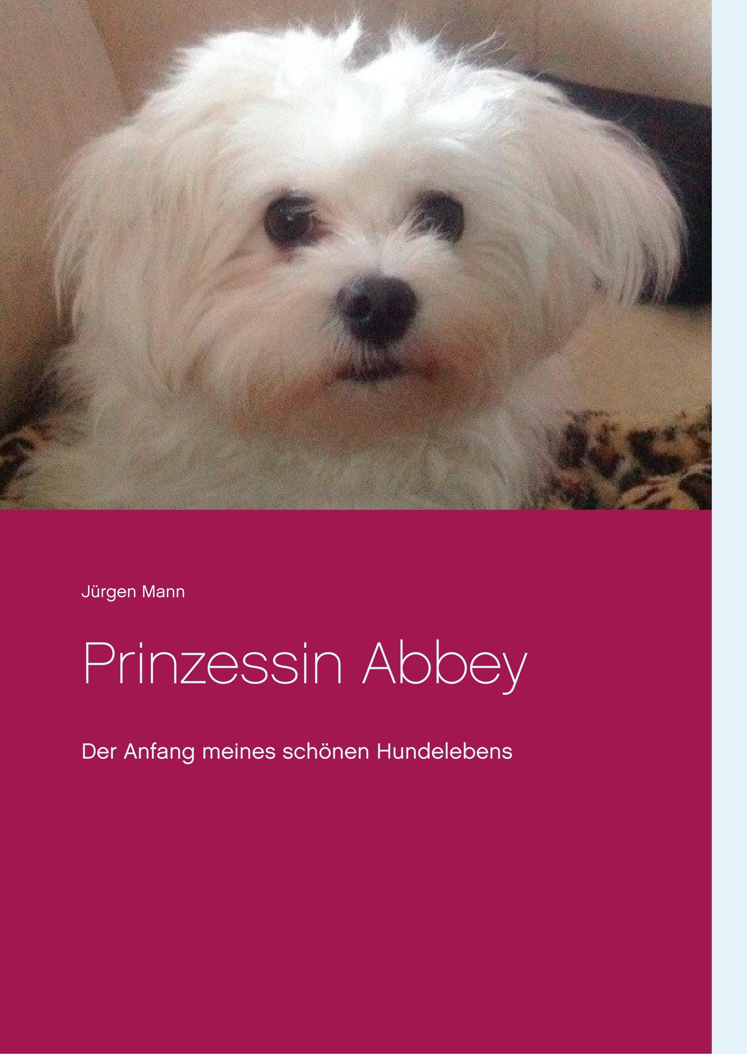 Vorderes Coverbild Prinzessin Abbey