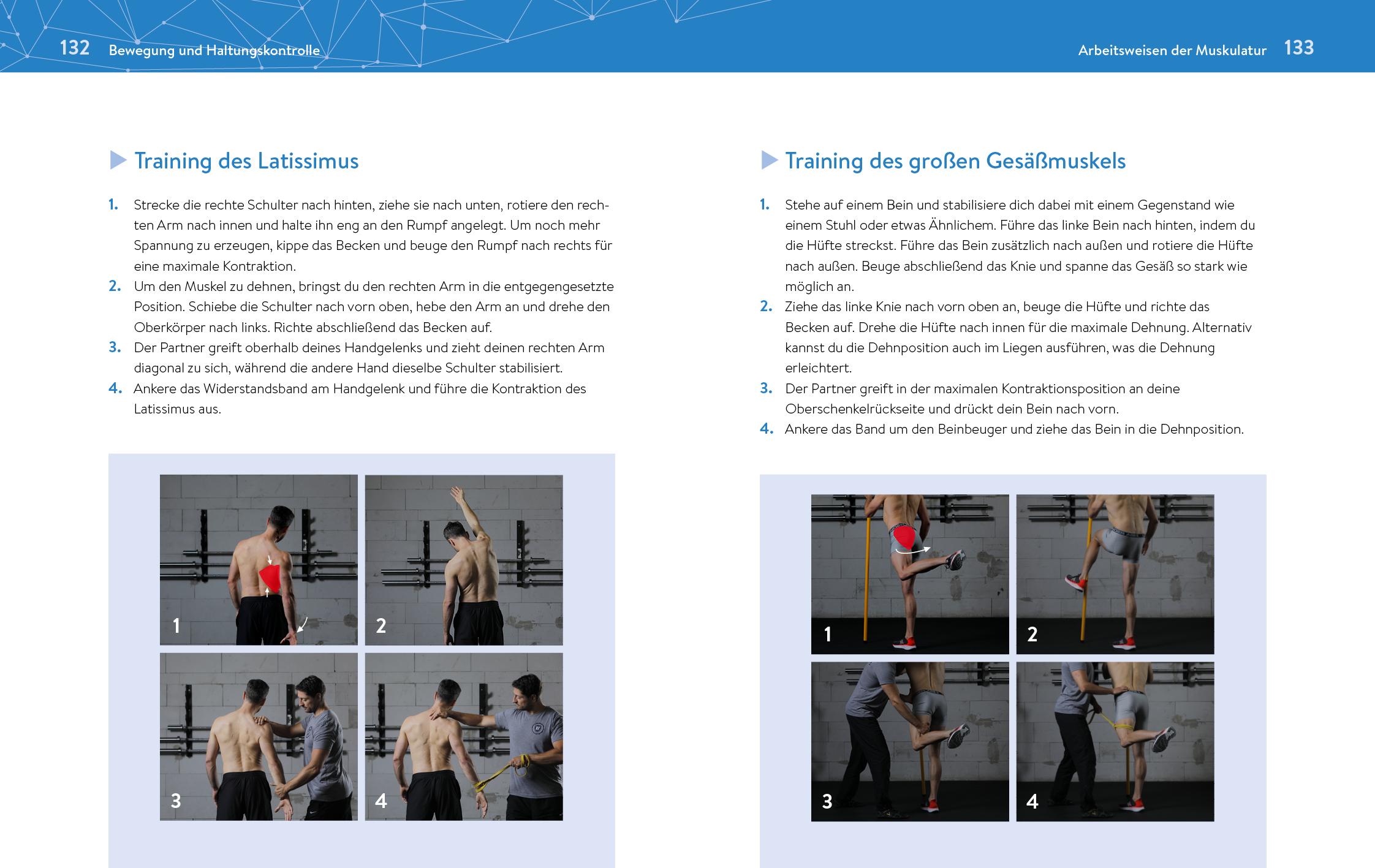 Beispielinhalt (Bild) Das neue Krafttraining