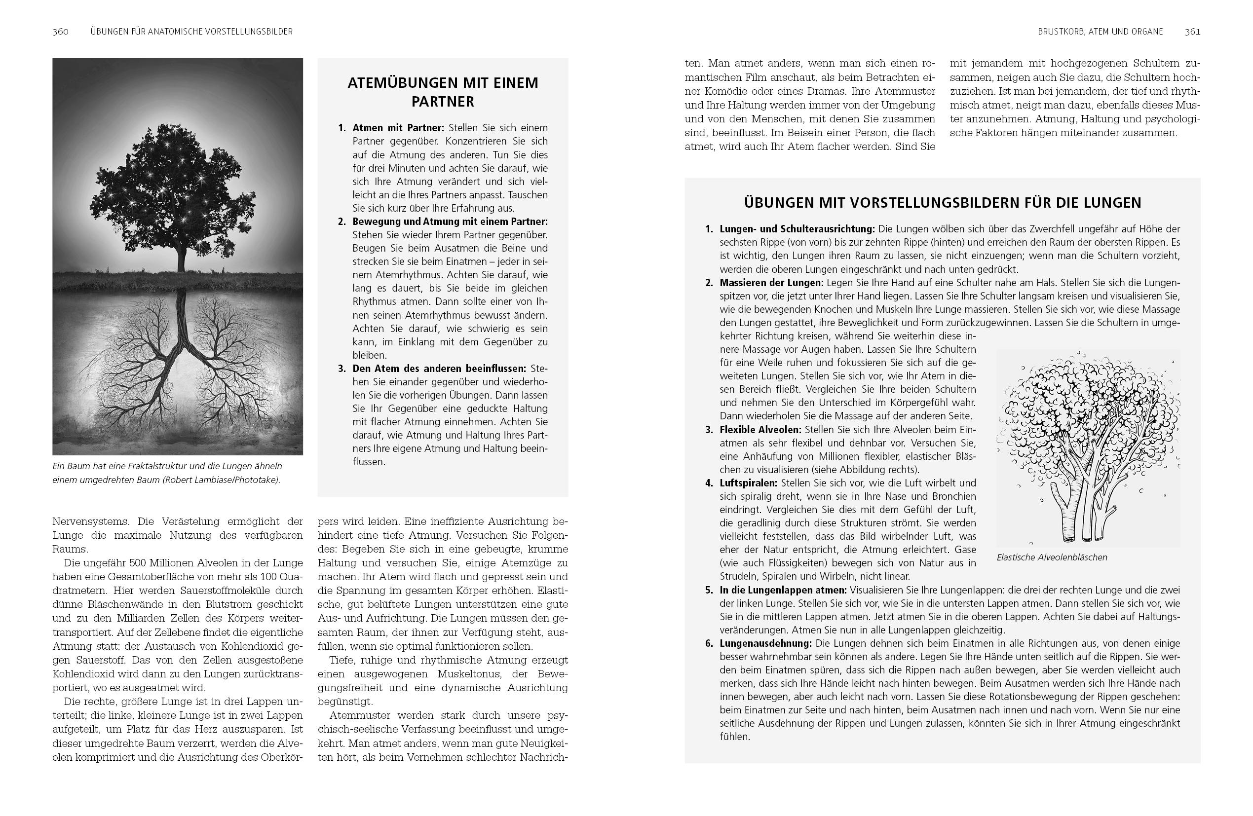 Beispielinhalt (Bild) Frei bewegen