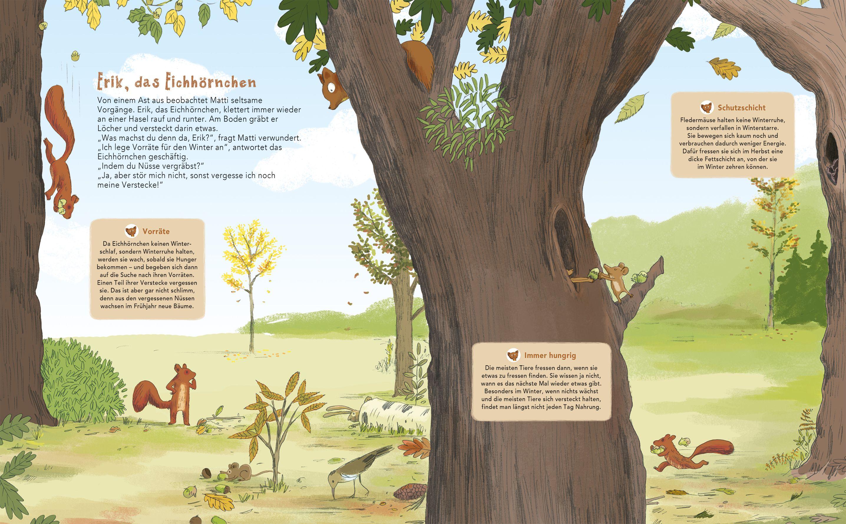 Beispielinhalt (Bild) Matti und das Leben im Wald - Ein Marder zeigt dir sein Zuhause