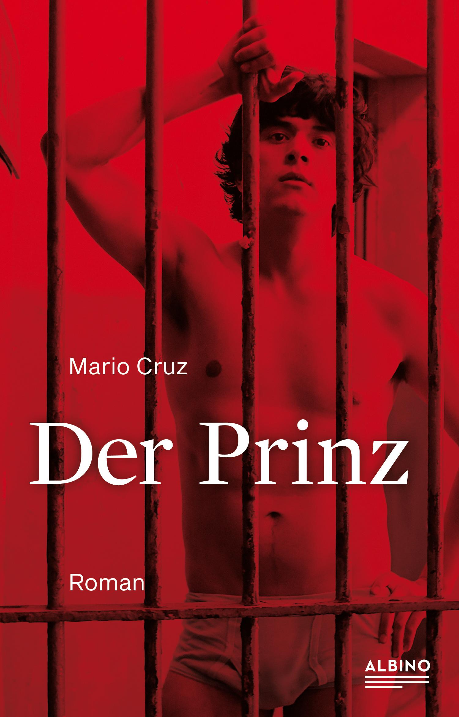 Vorderes Coverbild Der Prinz