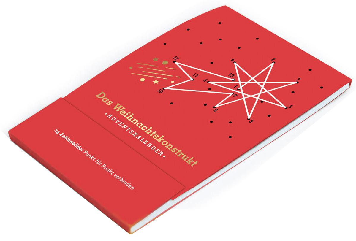 Vorderes Coverbild Das Weihnachtskonstrukt