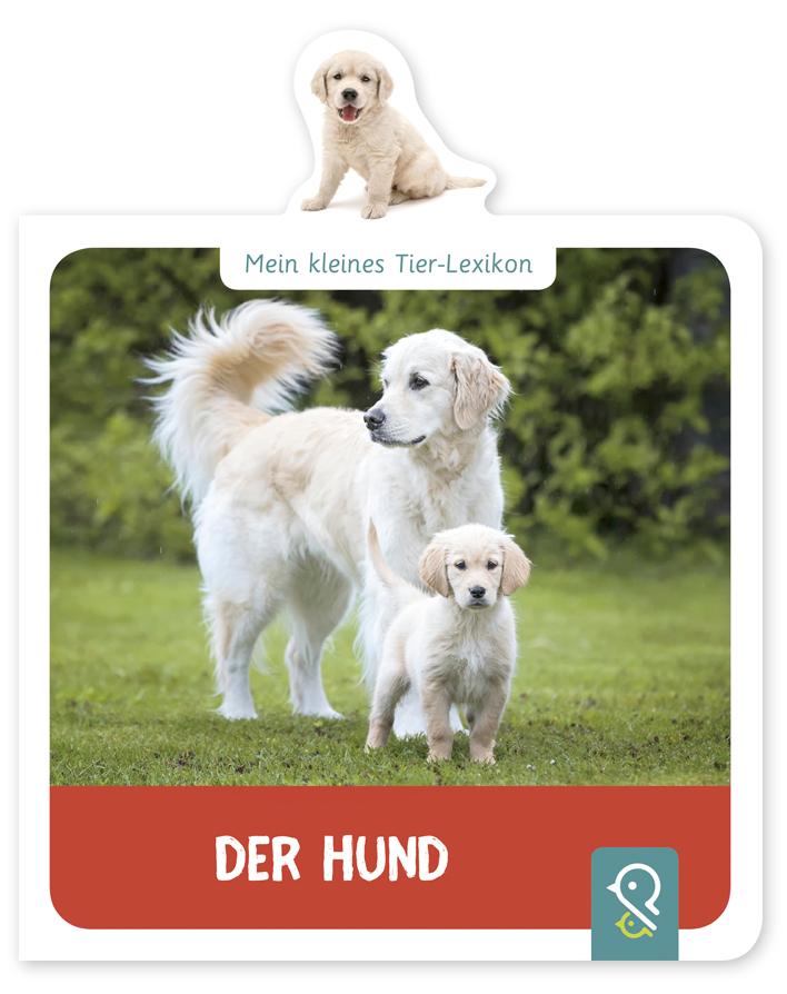 Vorderes Coverbild Mein kleines Tier-Lexikon - Der Hund
