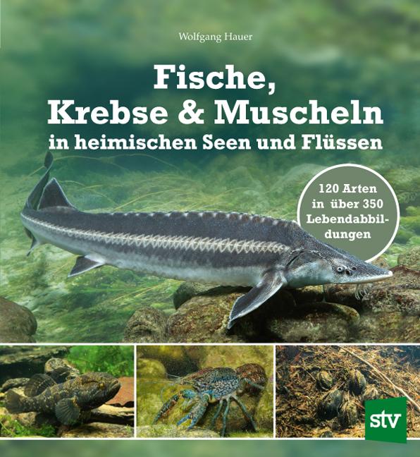 Vorderes Coverbild Fische, Krebse & Muscheln in heimischen Seen und Flüssen