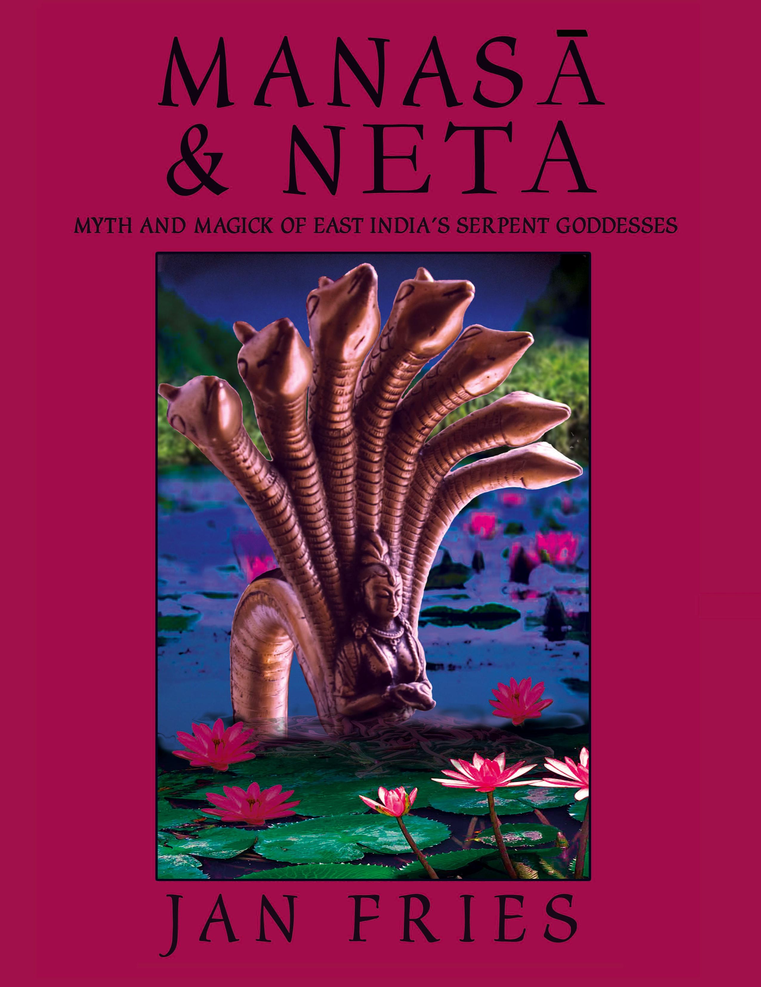 Vorderes Coverbild Manasa and Neta