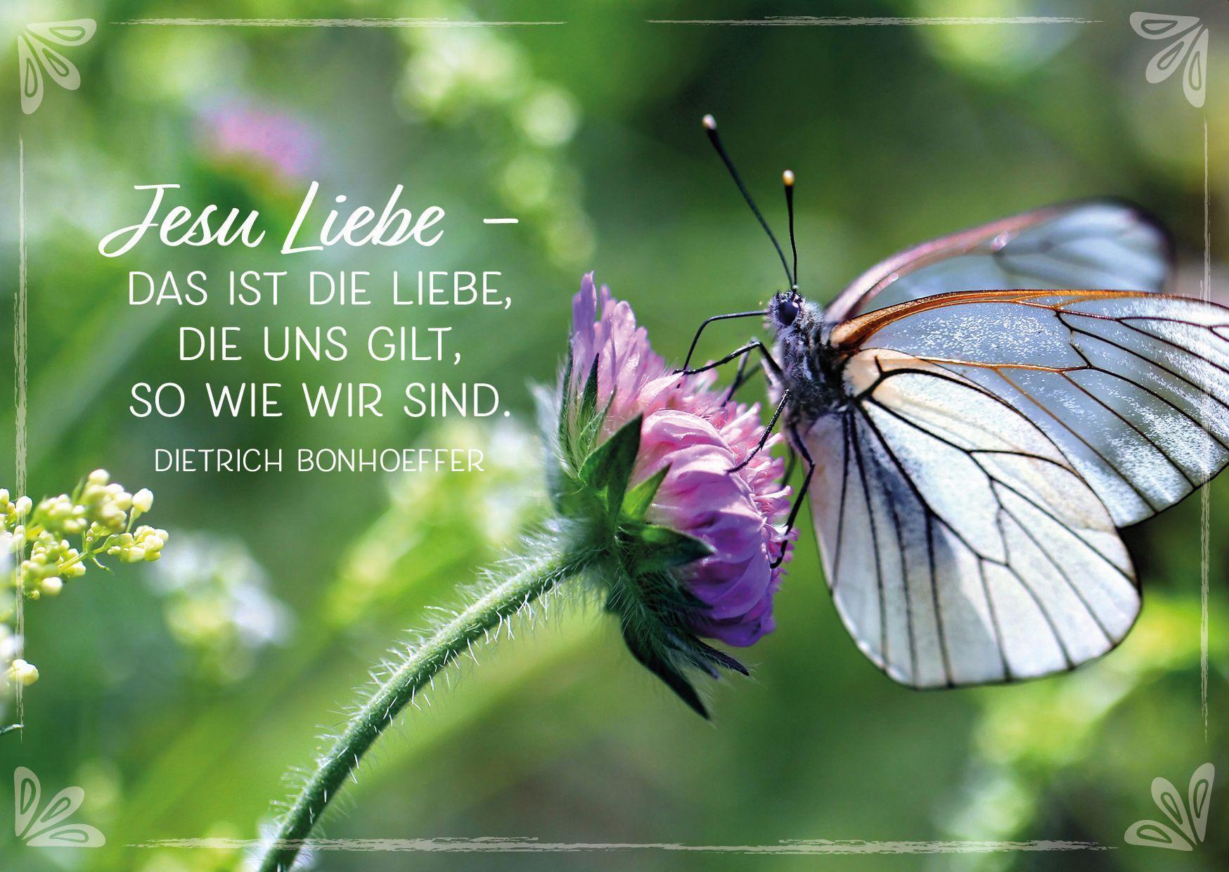 Beispielinhalt (Bild) Behütet und getröstet jeden Tag - Postkarten-Set