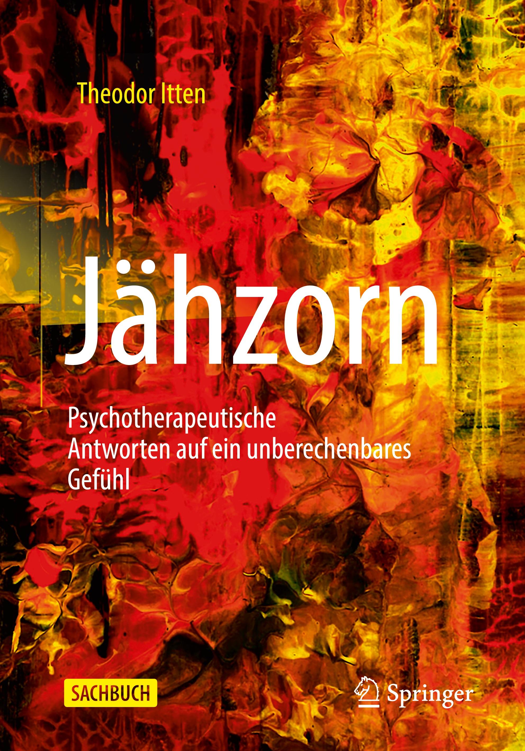 Vorderes Coverbild Jähzorn