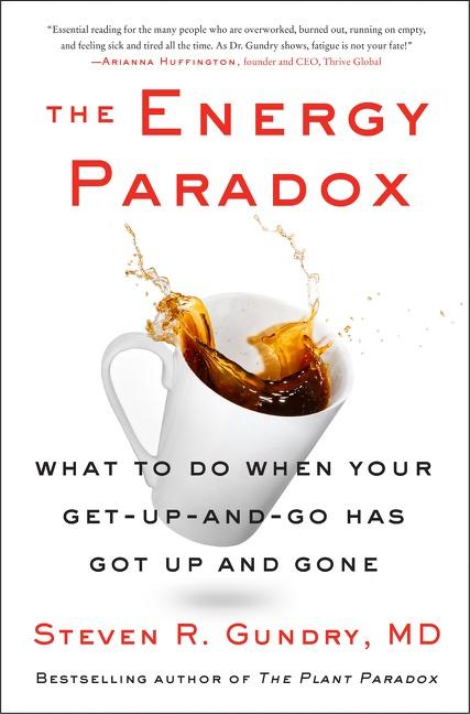 Vorderes Coverbild The Energy Paradox