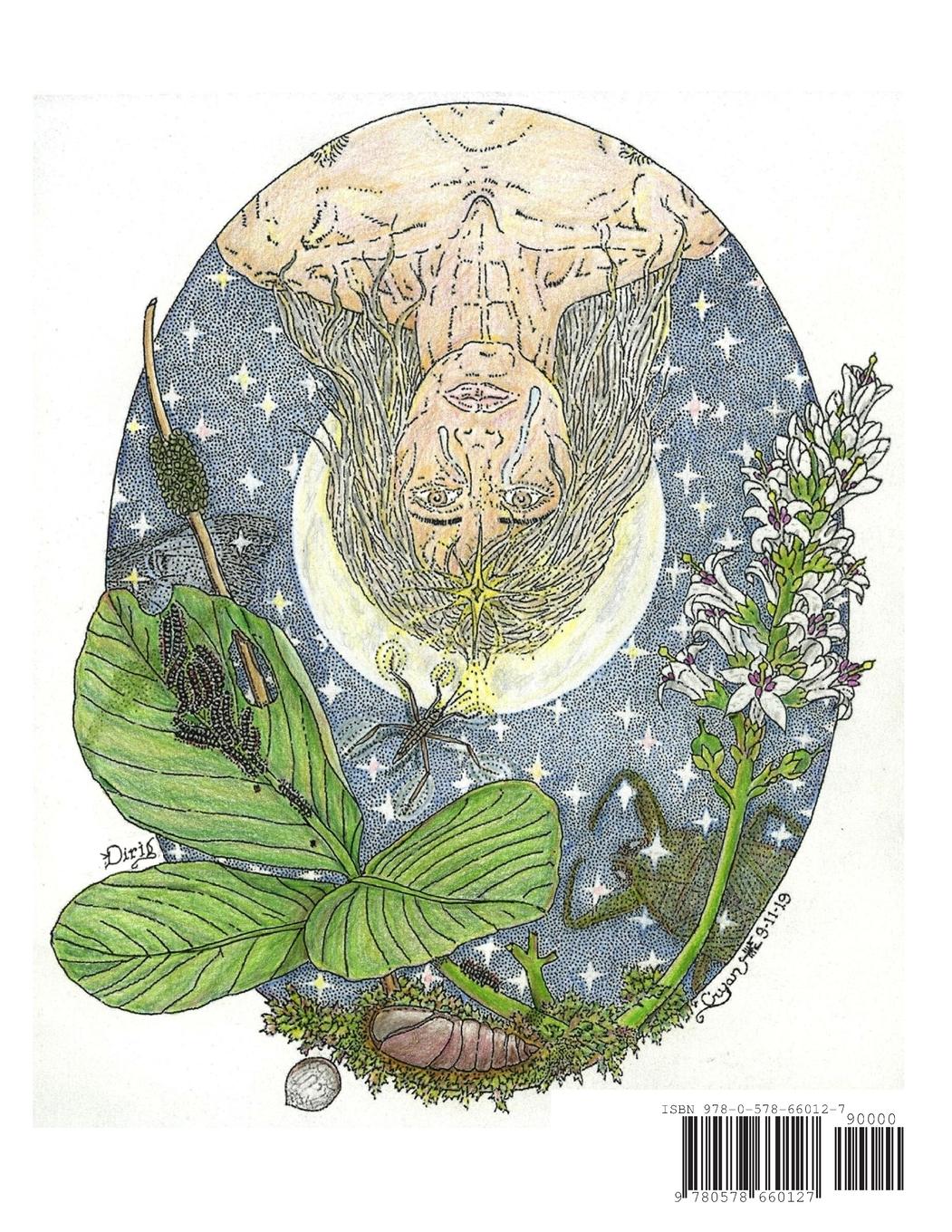 Rückseitencover Moths of the Past - Eastern North American Buck Moths (Hemileuca, Saturniidae)