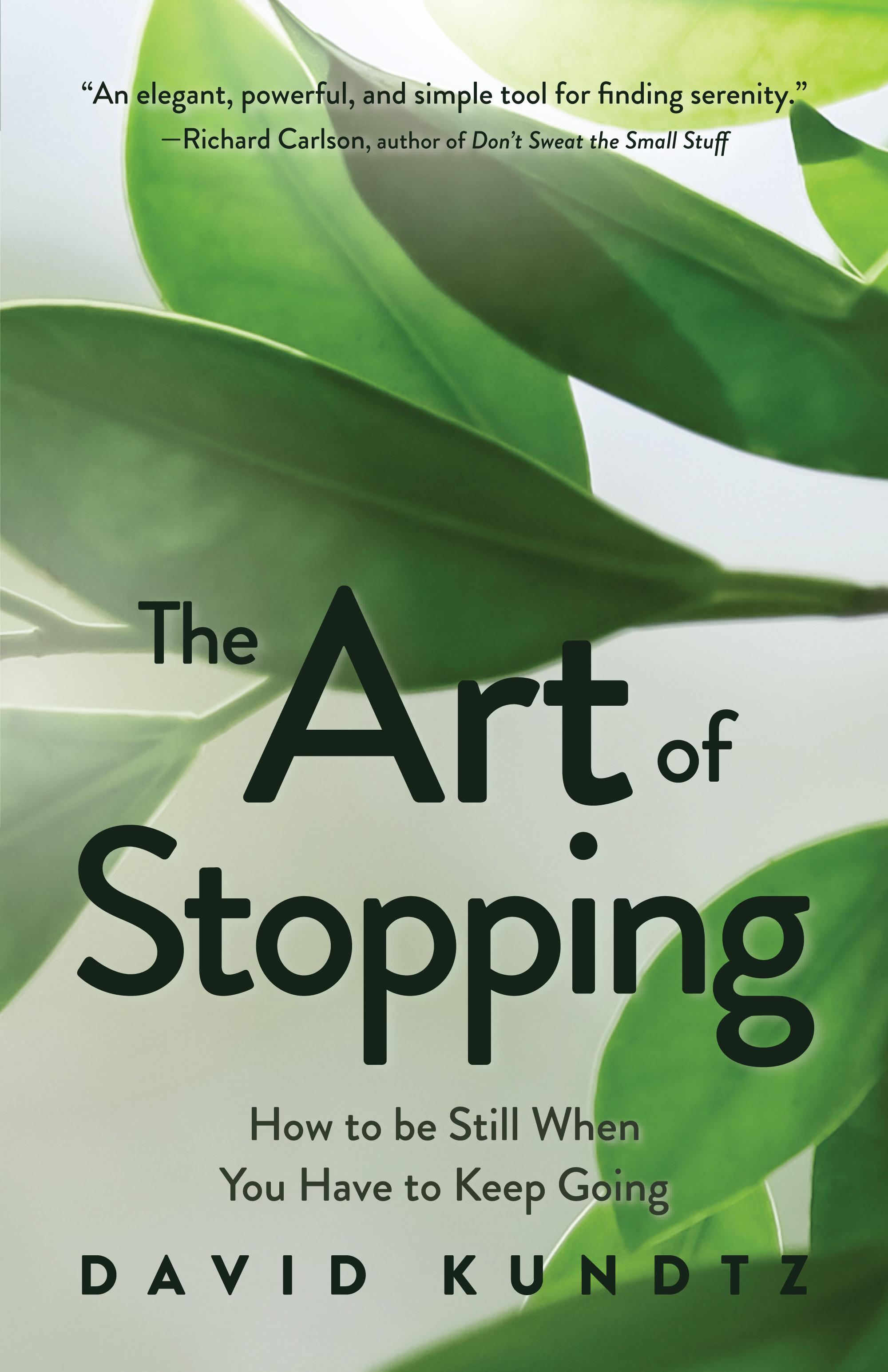 Vorderes Coverbild The Art of Stopping