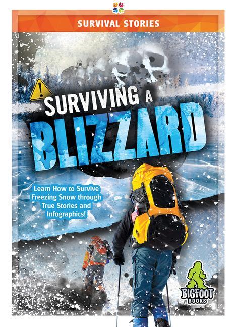 Vorderes Coverbild Surviving a Blizzard