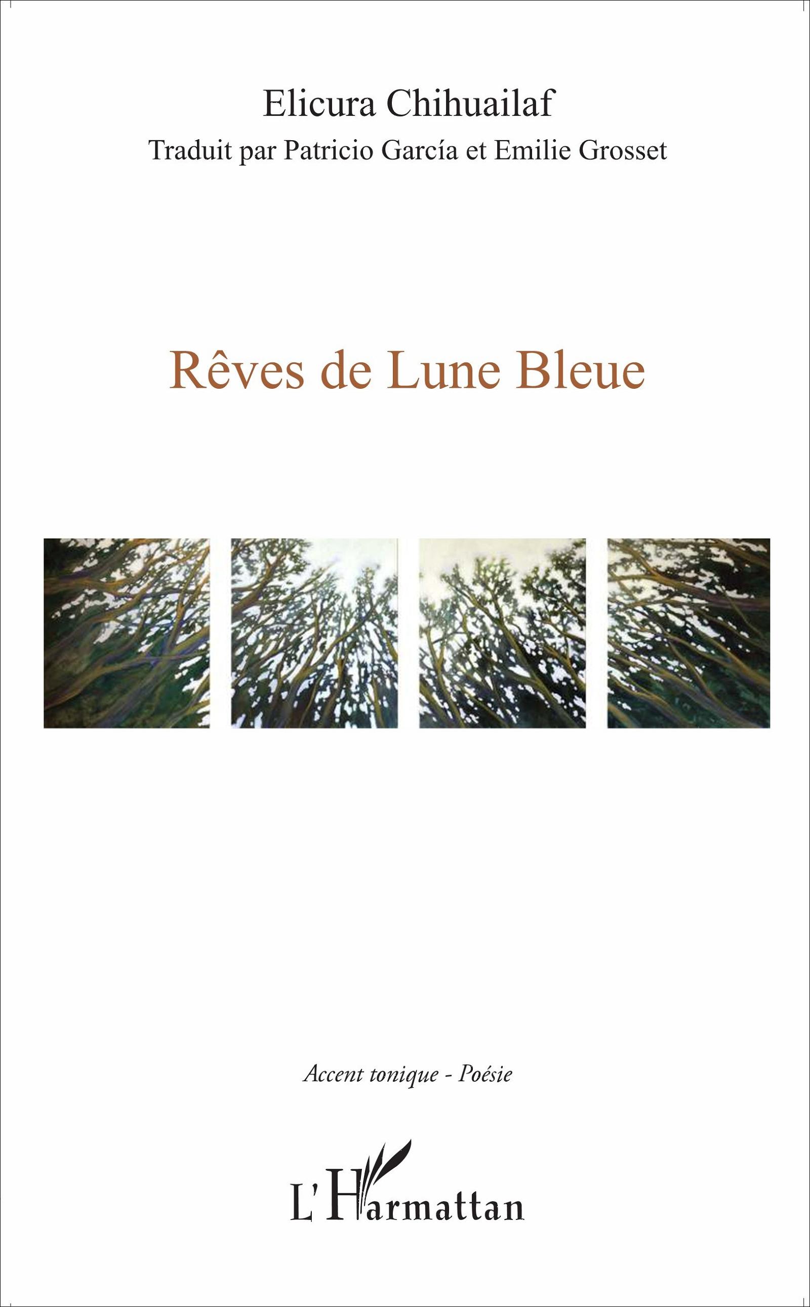 Vorderes Coverbild Rêves de lune bleue