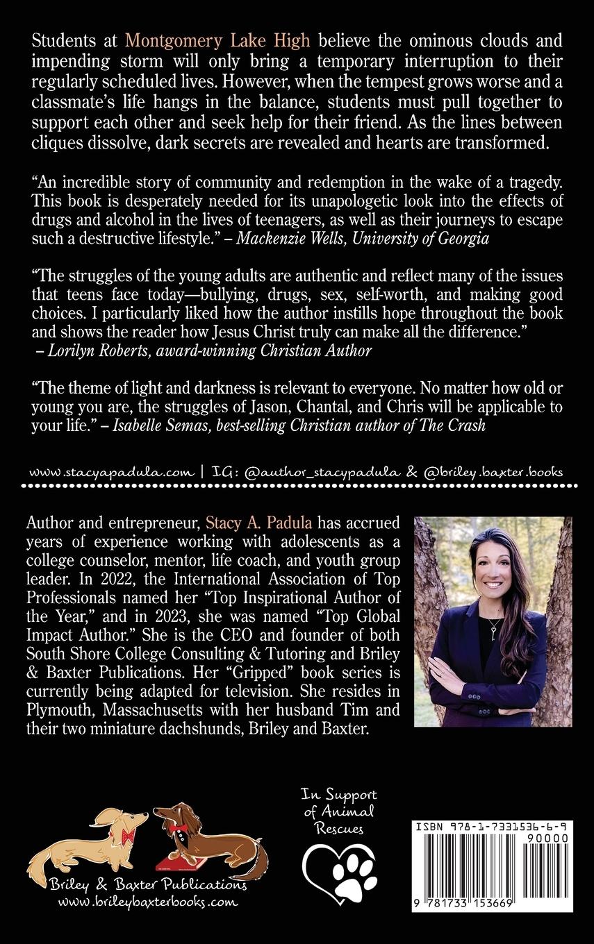 Rückseitencover When Darkness Tries to Hide