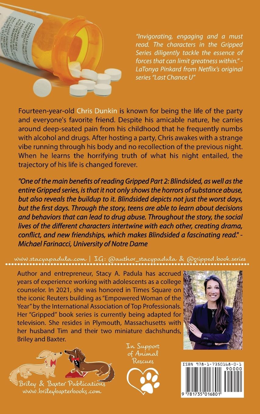 Rückseitencover Gripped Part 2