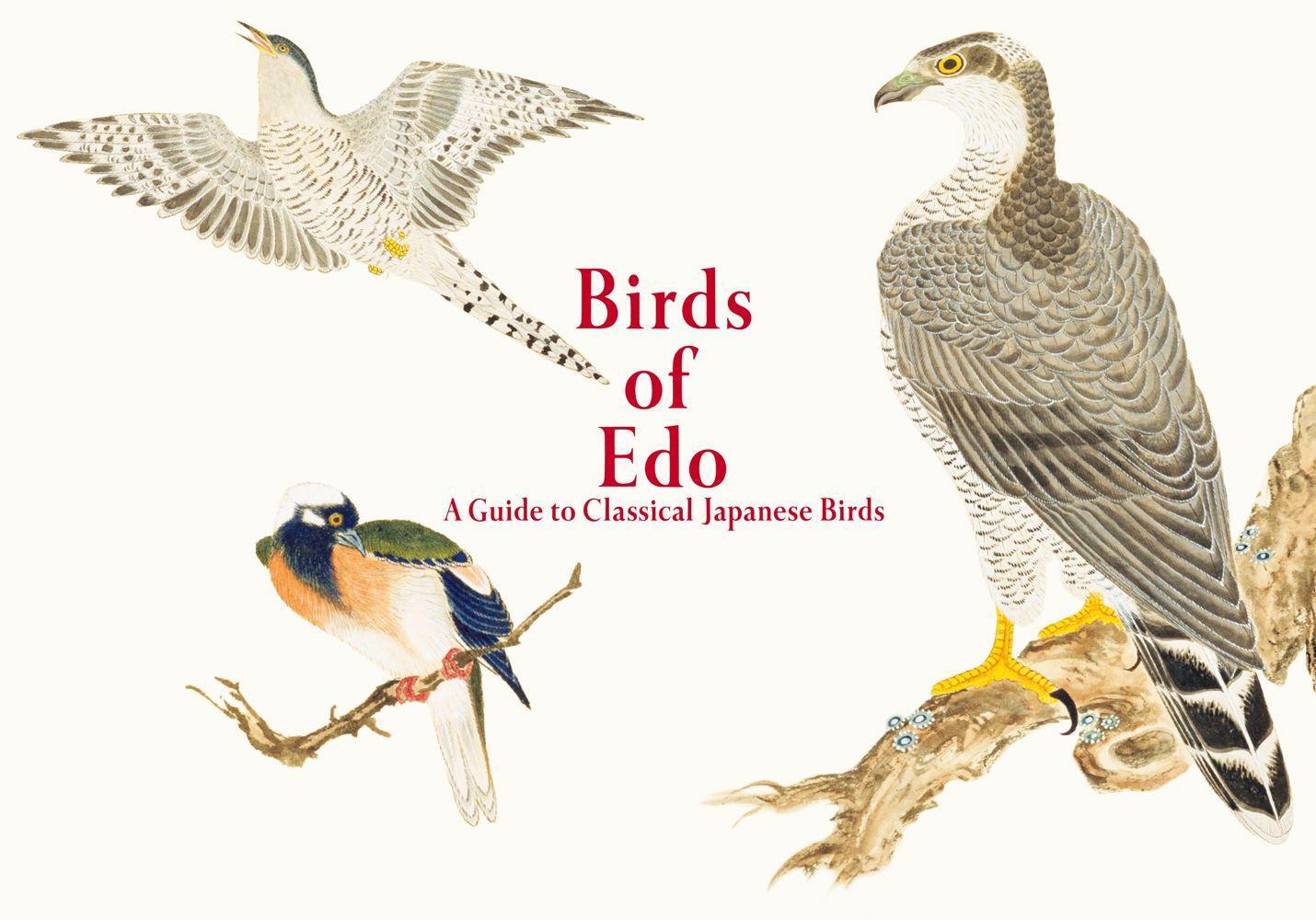 Vorderes Coverbild Birds of Edo