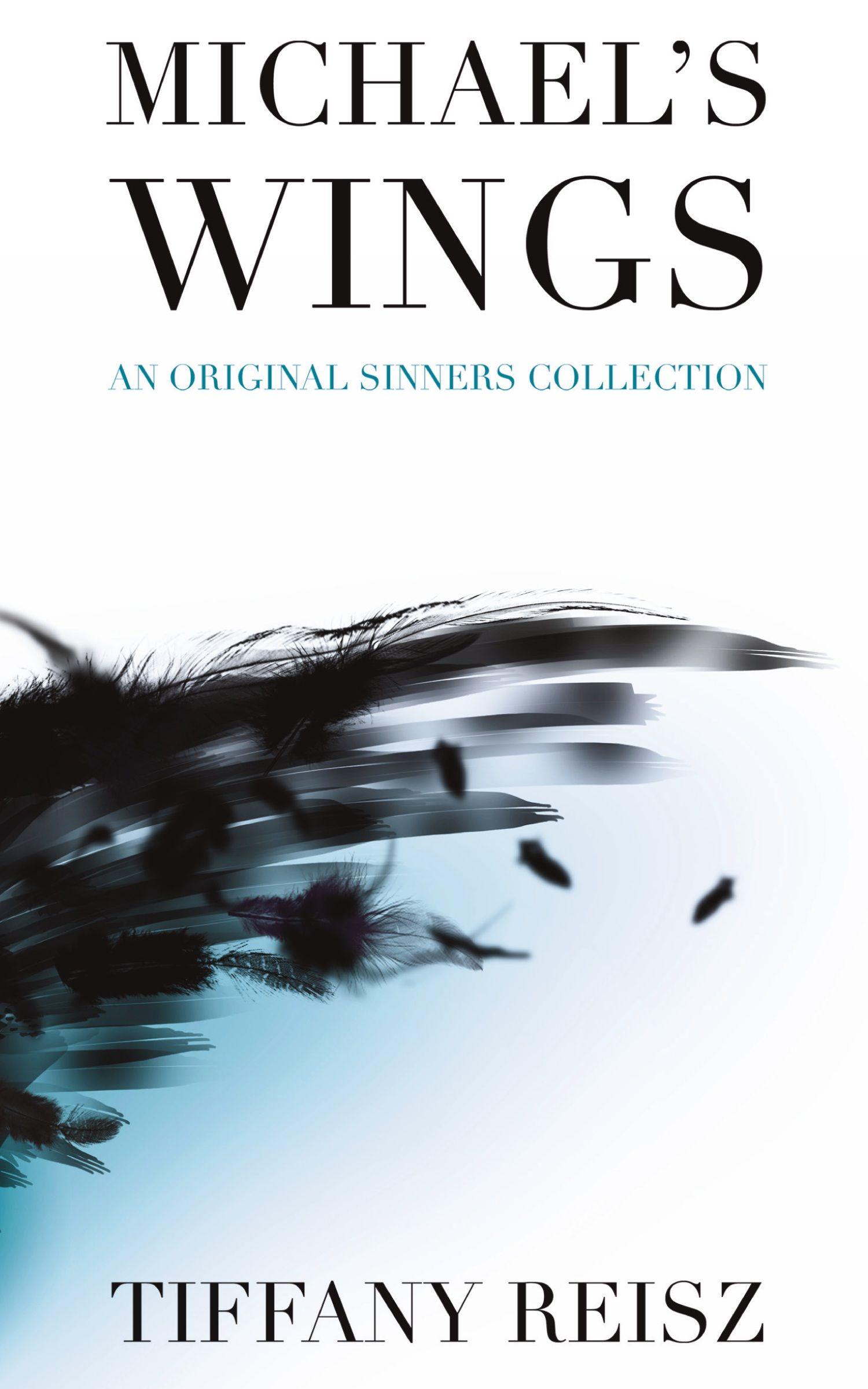 Vorderes Coverbild Michael's Wings