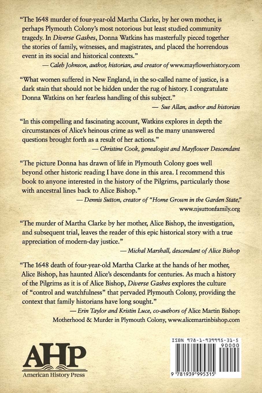 Rückseitencover Diverse Gashes