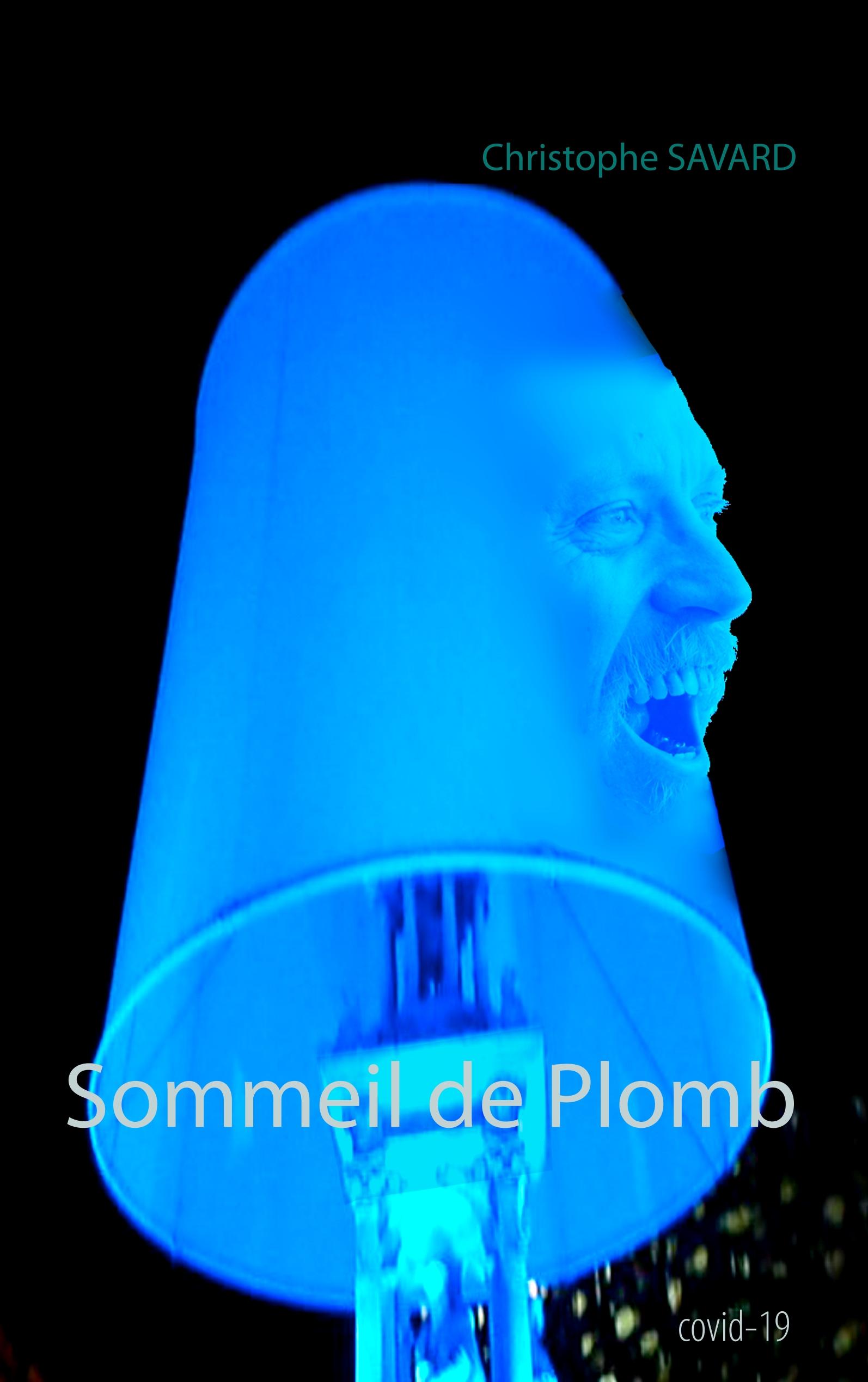 Vorderes Coverbild Sommeil de Plomb