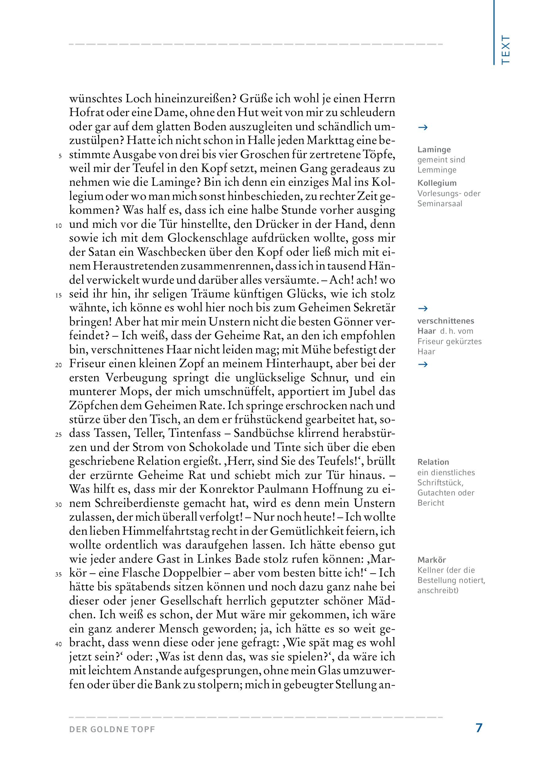 Beispielinhalt (Bild) Der goldne Topf. Hamburger Lesehefte Plus -