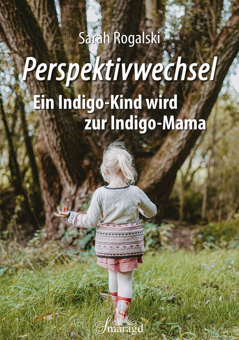 Vorderes Coverbild Perspektivwechsel