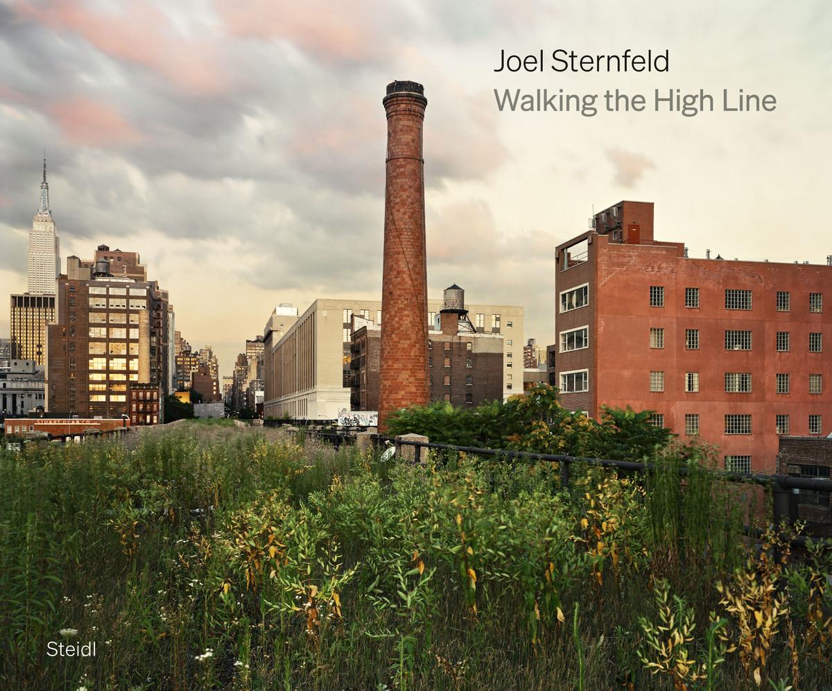Vorderes Coverbild Walking the High Line