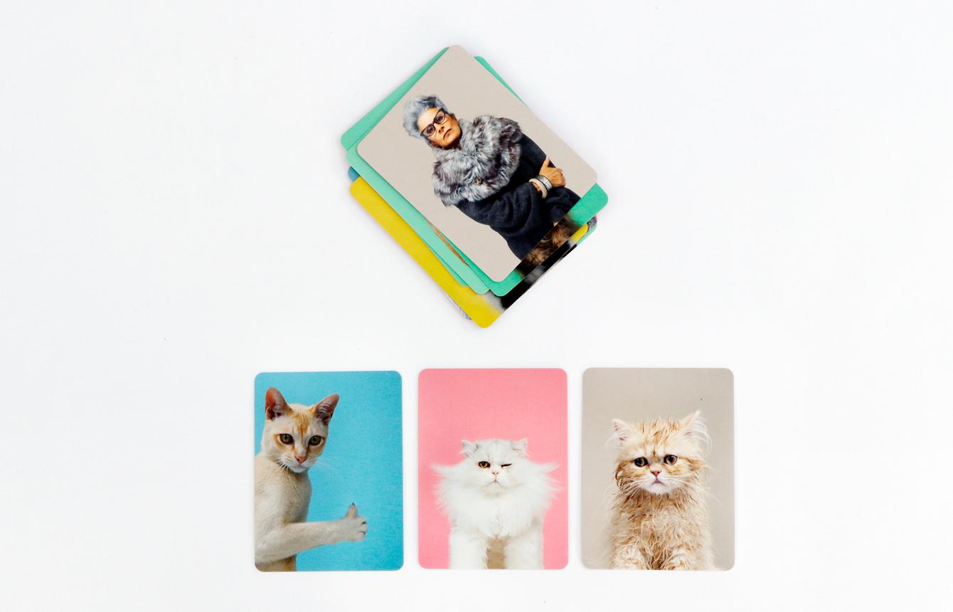 Beispielinhalt (Bild) Siehst du aus wie deine Katze ?