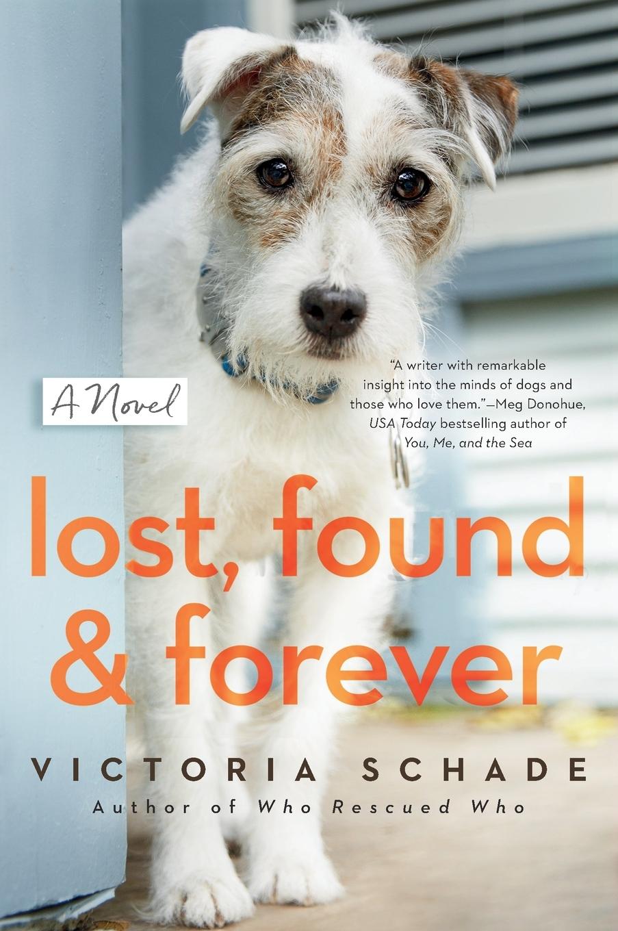 Vorderes Coverbild Lost, Found, and Forever