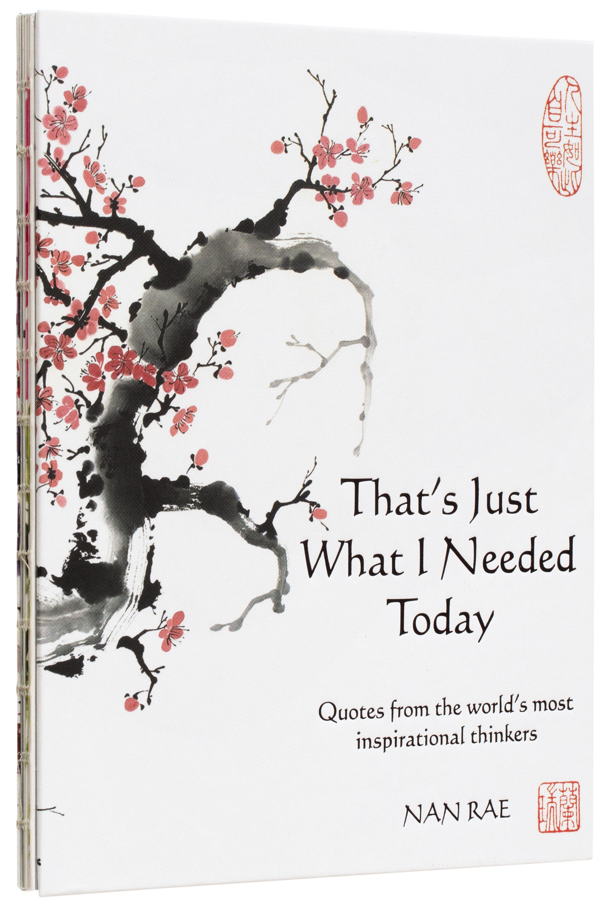 Vorderes Coverbild That's Just What I Needed Today