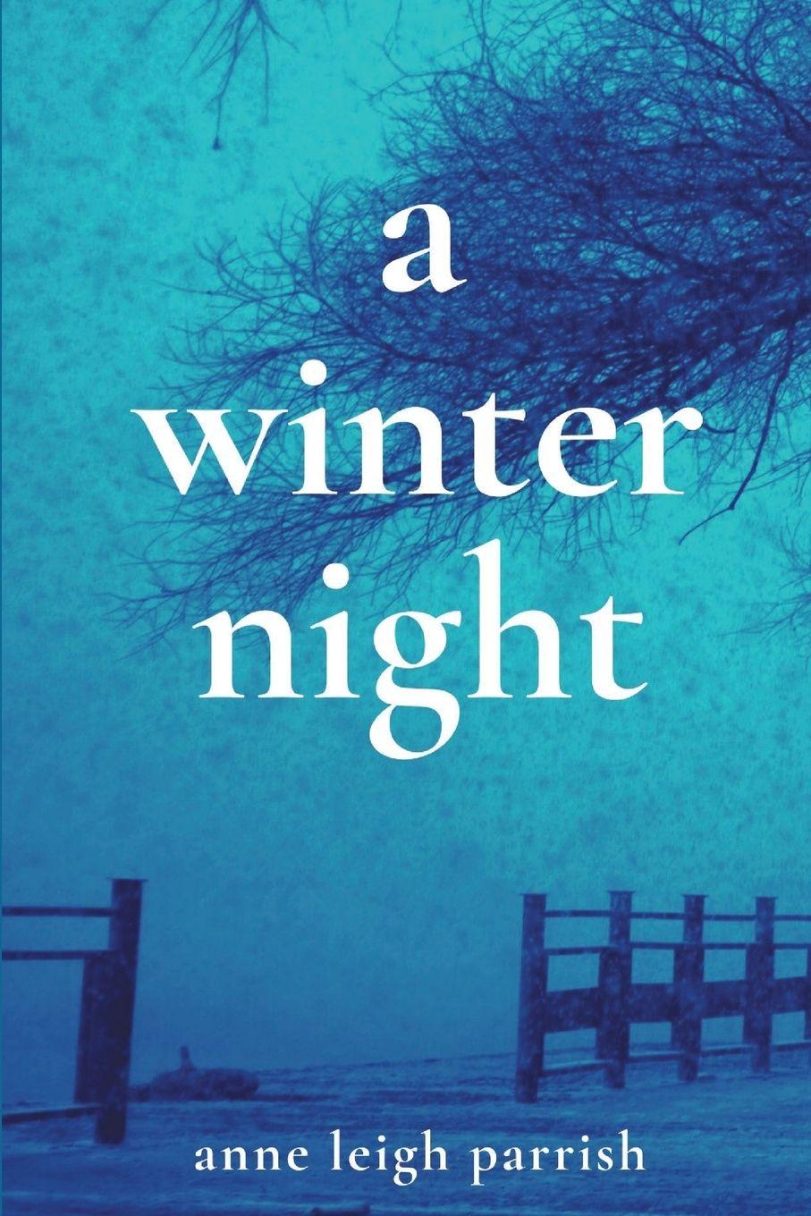 Vorderes Coverbild A Winter Night