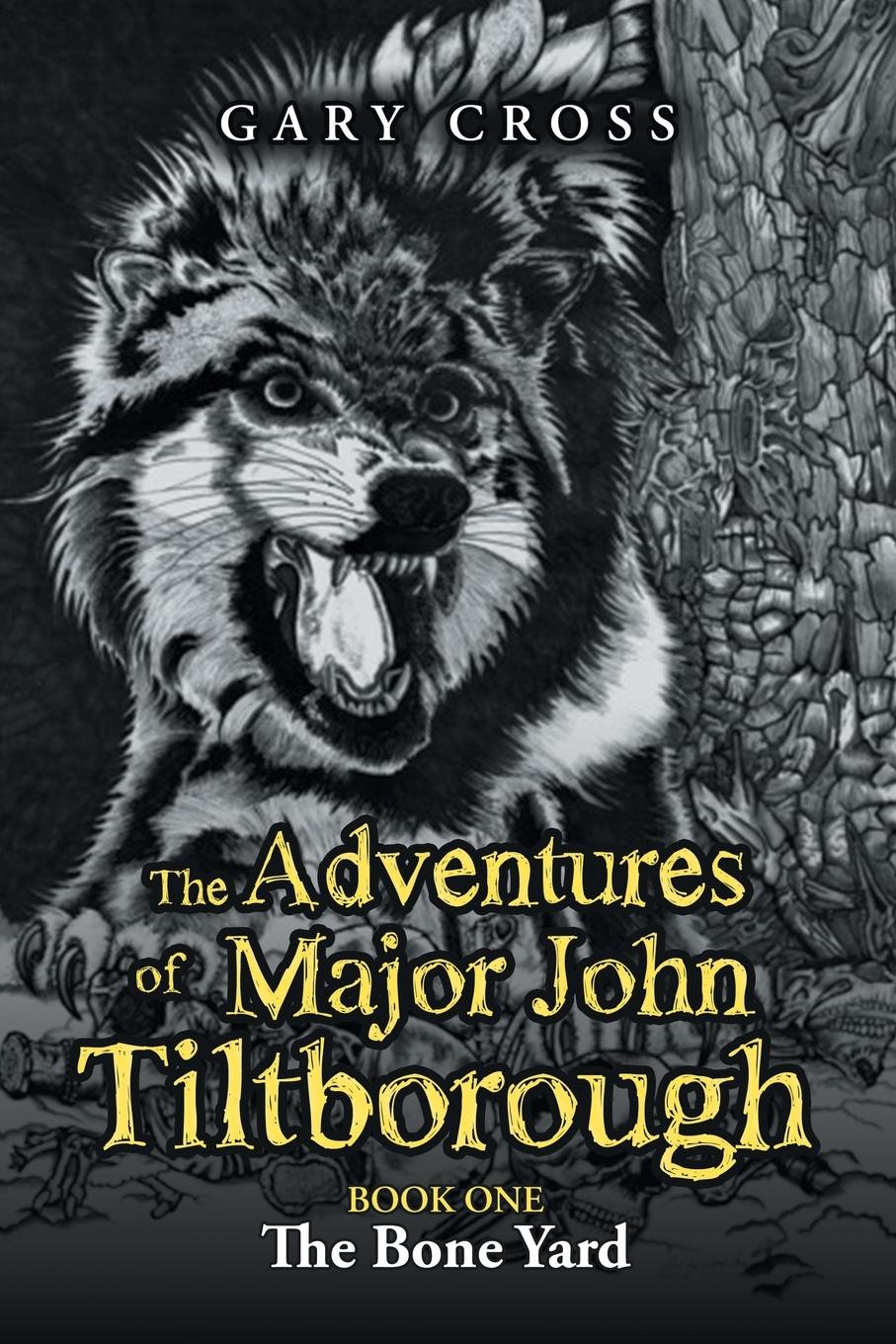 Vorderes Coverbild The Adventures of Major John Tiltborough
