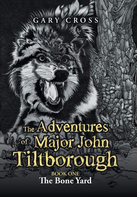 Vorderes Coverbild The Adventures of Major John Tiltborough