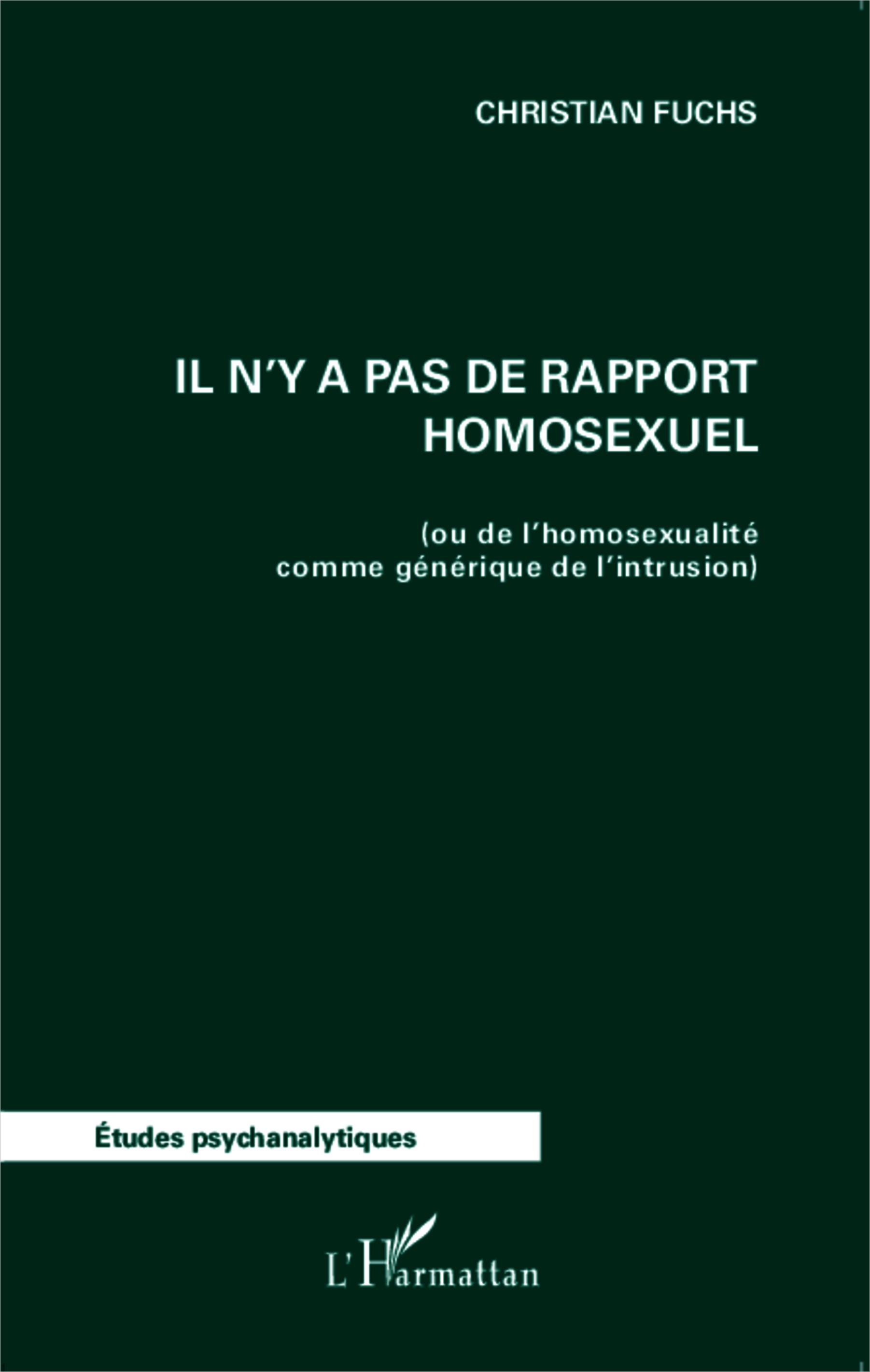 Vorderes Coverbild Il n'y a pas de rapport homosexuel