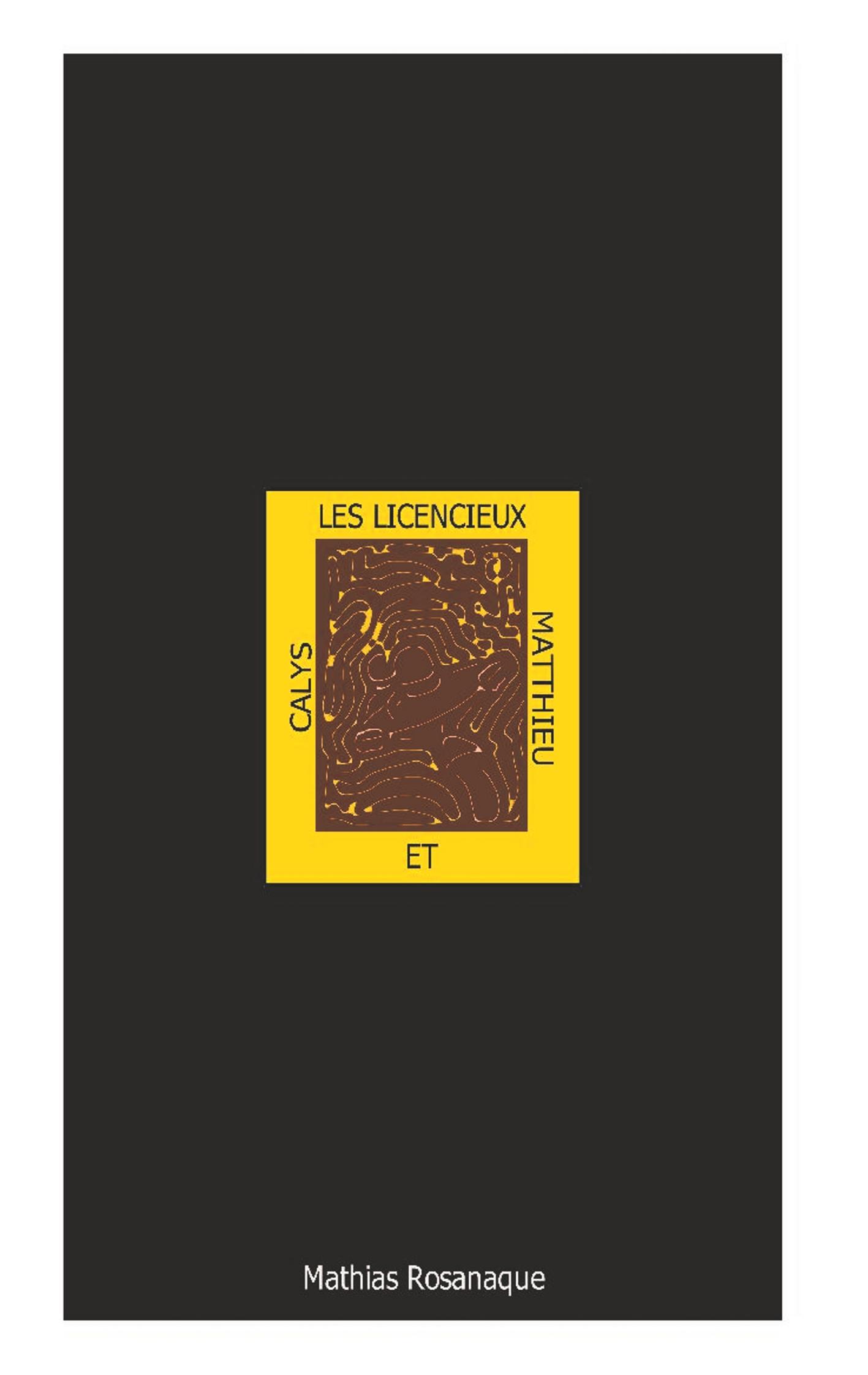 Vorderes Coverbild Les licencieux Calys et Matthieu