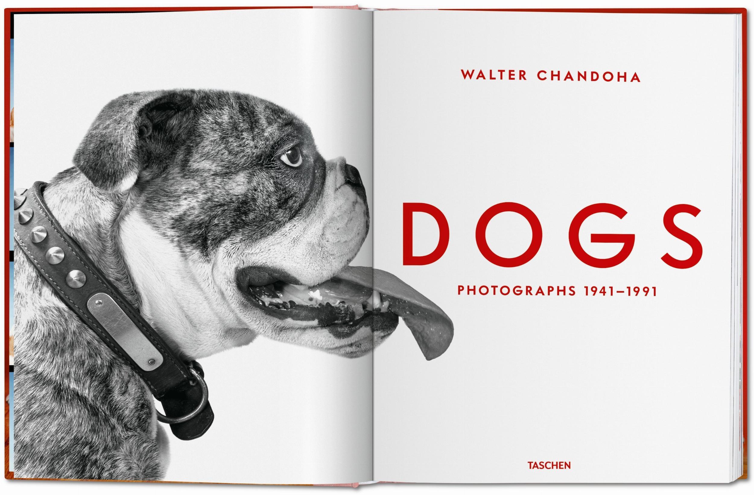 Beispielinhalt (Bild) Walter Chandoha. Dogs. Photographs 1941-1991