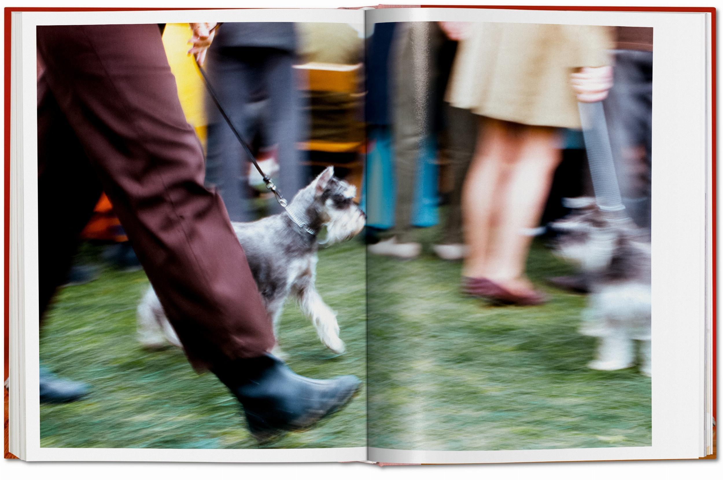Beispielinhalt (Bild) Walter Chandoha. Dogs. Photographs 1941-1991
