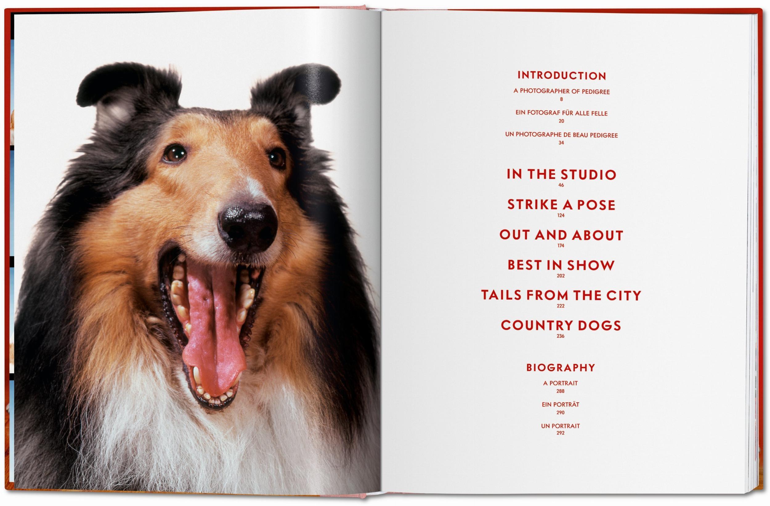 Beispielinhalt (Bild) Walter Chandoha. Dogs. Photographs 1941-1991