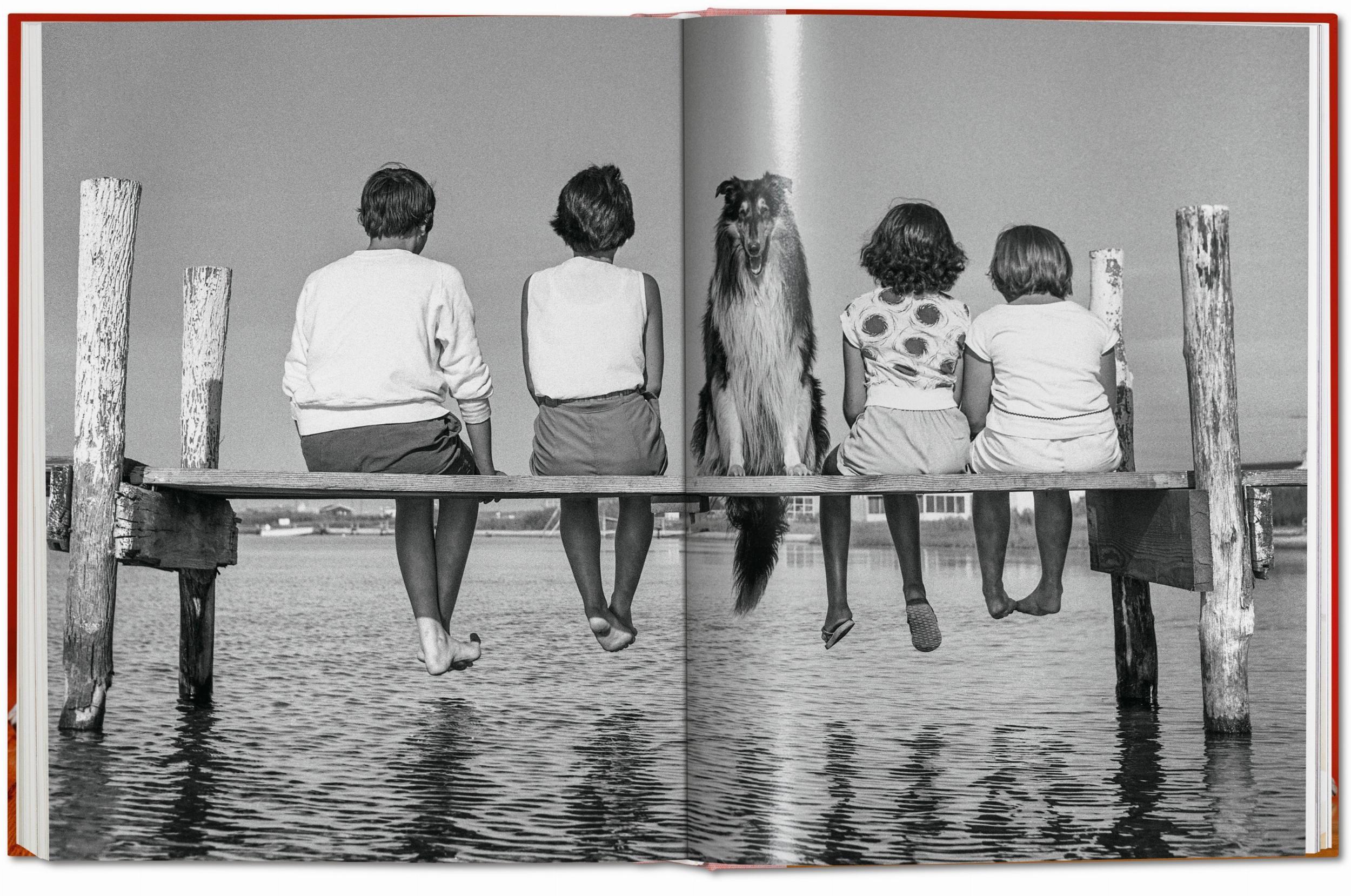 Beispielinhalt (Bild) Walter Chandoha. Dogs. Photographs 1941-1991