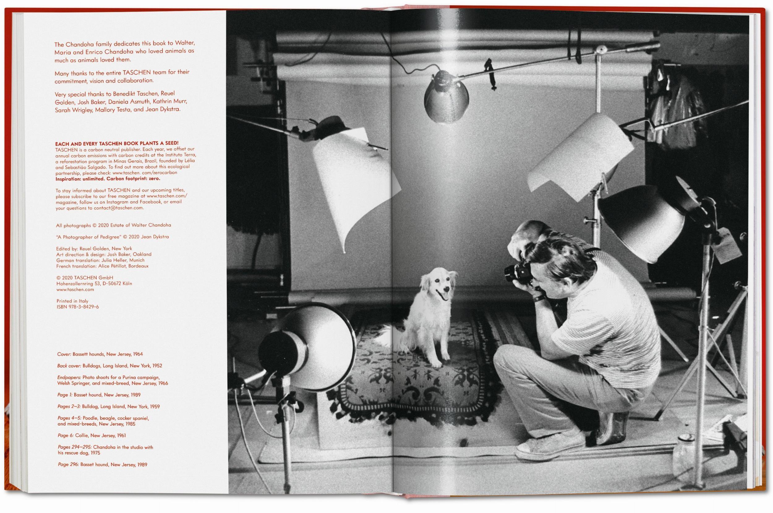 Beispielinhalt (Bild) Walter Chandoha. Dogs. Photographs 1941-1991
